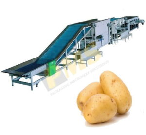 Máy rửa và phân cỡ khoai tây