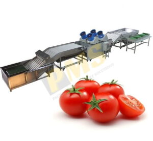 Máy xử lý cà chua