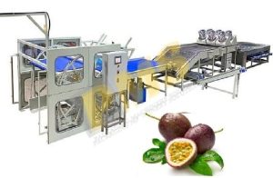 Máy phân cỡ củ quả