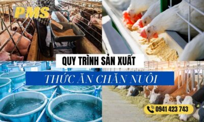 Quy trình sản xuất thức ăn chăn nuôi 