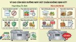 máy đóng gói hút chân không