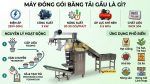 máy đóng gói băng tải gầu